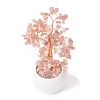 Natural Rose Quartz Chips with Brass Wrapped Wire Money Tree on Ceramic Vase Display Decorations DJEW-B007-02E-3