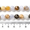 Natural Blue Chalcedony Beads Strands G-NH0021-A11-01-5