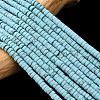 Dyed Synthetic Turquoise Beads Strands G-Z089-A04-F-3
