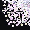 Shining Nail Art Glitter X-MRMJ-T017-04L-2