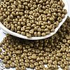 Baking Paint Glass Seed Beads SEED-B001-02A-18-1