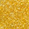 6/0 Spray Paint Fringe Glass Seed Beads SEED-H003-11A-2