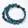 Natural Yellow Turquoise Graduated Beads Strand X-G-N001-13-2