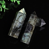 Point Tower Natural Labradorite Healing Stone Wands PW-WG88898-01-4