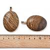 Electroplate Natural Picture Jasper Pendants KK-F882-06G-02-3