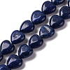 Natural Lapis Lazuli Dyed Beads Strands G-I372-A19-01-1