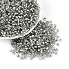 Silver Lined Glass Seed Beads SEED-T007-18A-03-1