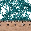 15/0 Transparent Czech Glass Seed Beads SEED-N004-004-03-6