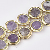 Natural Amethyst Beads G-S260-13-1