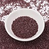 MIYUKI Delica Beads SEED-J020-DB1705-2