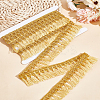 4 Yards Metallic Tassel Lace Ribbon OCOR-LP0001-20-3