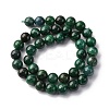 Natural Fuchsite Beads Strands G-K393-A02-10mm-3