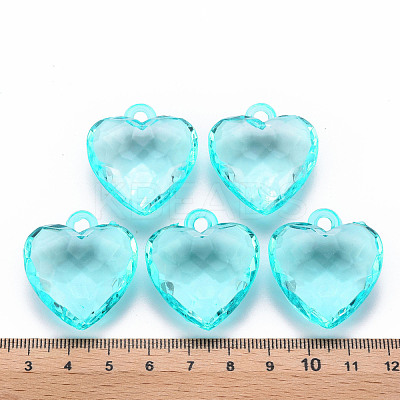 Transparent Acrylic Pendants TACR-T024-03B-946-1