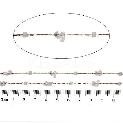 Ion Plating(IP) 316 Surgical Stainless Steel Chains AJEW-Q153-01O-1