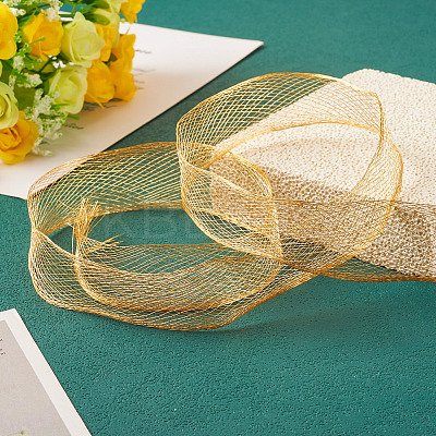 1M Mesh Ribbon PNT-TA0001-02C-1