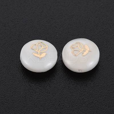 Natural Freshwater Shell Beads SHEL-S278-055-1