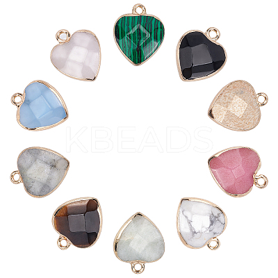 10rolls 10 Style Electroplate Labradorite & White Jade & Amazonite & Tiger Eye & Picture Jasper & White Jade & Rose Quartz & Howlite & Malachite Gemstone Pendants G-AR0003-95G-1