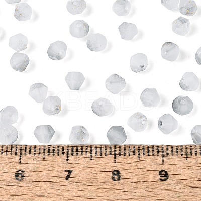 Frosted Glass Seed Beads SEED-N012-01L-1