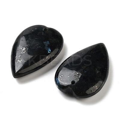 Natural Larvikite Pendants G-D087-02G-1