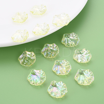 Transparent Acrylic Pendants MACR-S373-73-C03-1