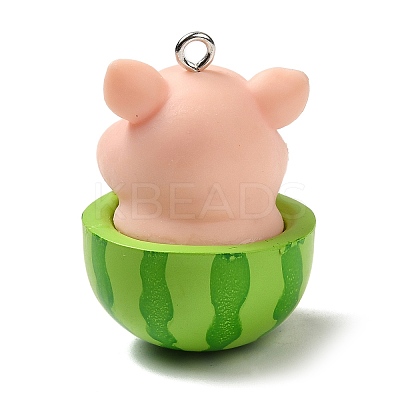 Opaque Resin Pendants LS-RESI-P030-04P-1