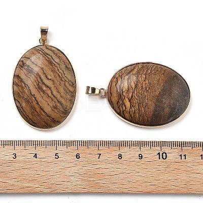 Electroplate Natural Picture Jasper Pendants KK-F882-06G-02-1