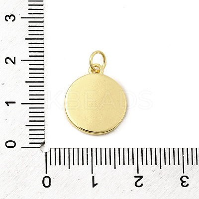 Brass Enamel Pendants KK-K302-11G-1