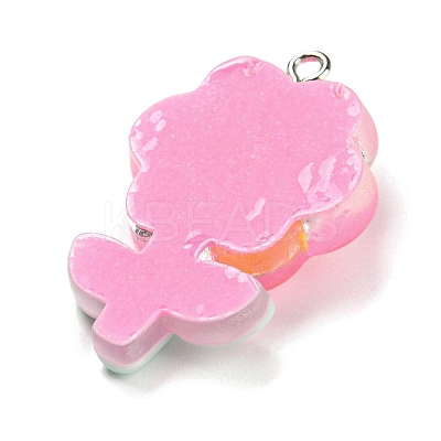 Translucent Resin Pendants RESI-G078-01H-1
