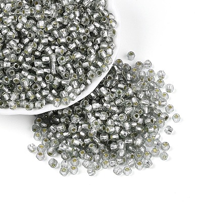 Silver Lined Glass Seed Beads SEED-T007-18A-03-1