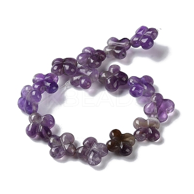 Natural Amethyst Beads Strands G-M418-D01-01-1