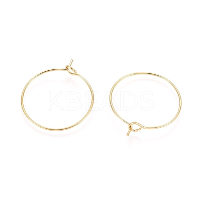 Ion Plating(IP) 316L Surgical Stainless Steel Hoop Earring Findings X-STAS-D164-05G-1