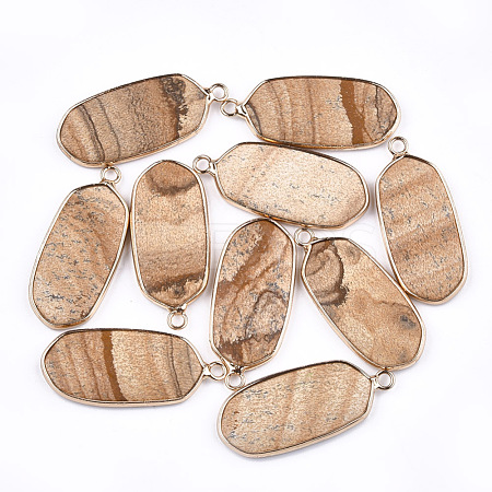 Natural Picture Jasper Pendants G-T112-23B-1
