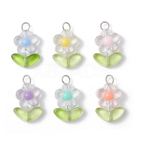 Transparent Acrylic Pendants PALLOY-JF03713-01-1