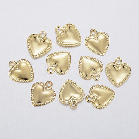 304 Stainless Steel Charms STAS-F160-31G-1