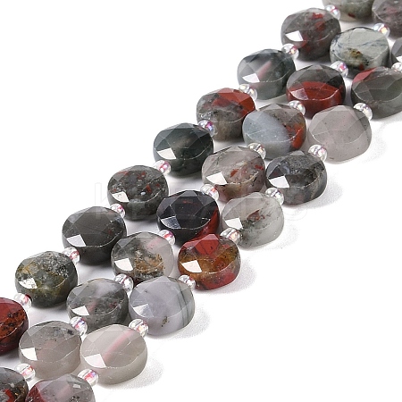 Natural African Bloodstone Beads Strands G-N342-12-1