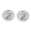 Non-Tarnish 304 Stainless Steel Charms STAS-T059-26P-Z-2