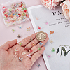 120Pcs 12 Colors Butterfly Resin Nail Art Cabochons MRMJ-HY0001-39-4