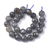 Natural Labradorite Beads Strands G-S345-8mm-005-2