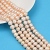 Natural Cultured Freshwater Pearl Beads Strands PEAR-I007-07Z-04B-1