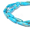 Dyed Natural Imperial Jasper Beads Strands G-G0001-C01-01-4