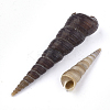 Spiral Shell Beads SSHEL-S258-34-2
