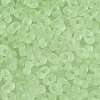 FGB Frosted Transparent Glass Seed Beads SEED-N013-06A-08-3