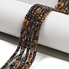 Natural Pietersite Beads Strands G-H042-B10-01-2