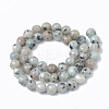 Natural Sesame Jasper/Kiwi Jasper Beads Strands G-S295-14-8mm-2