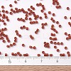 MIYUKI Delica Beads X-SEED-J020-DB2288-4