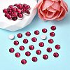 Preciosa® MAXIMA Crystal No Hotfix Flatback Stones Y-PRC-NSS10-90110-2