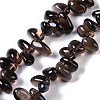 Natural Smoky Quartz Beads Strands G-B072-D01-02-2