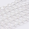 Iron Twisted Chains CH-1.4DK-S-1
