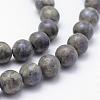 Electroplate Natural Labradorite Beads Strands G-F518-05-10mm-3