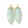 Rainbow Iridescent Plating Resin Pendants LS-RESI-C047-03D-G-1